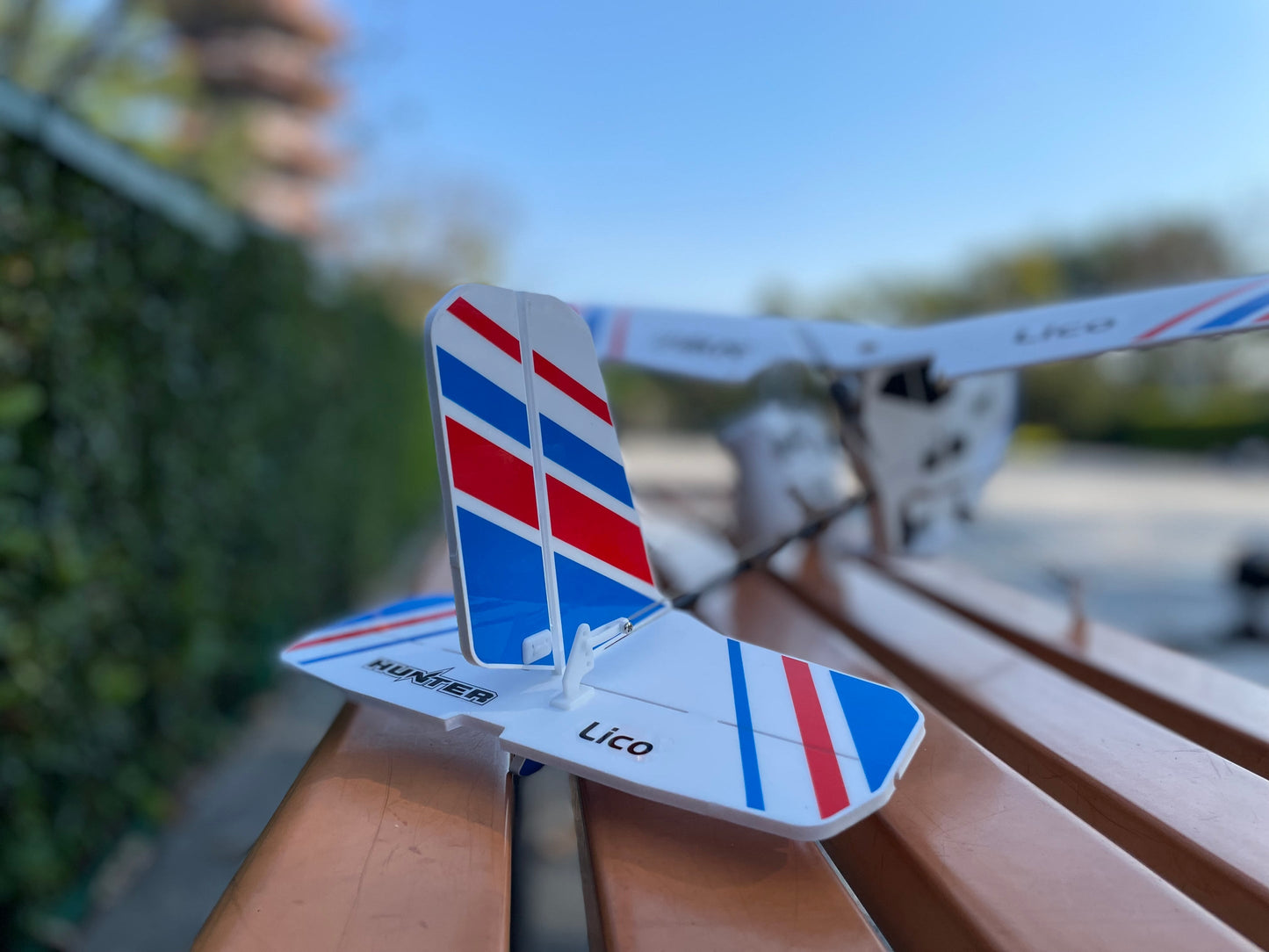 Hunter Lico Airplane ARF/ PNP