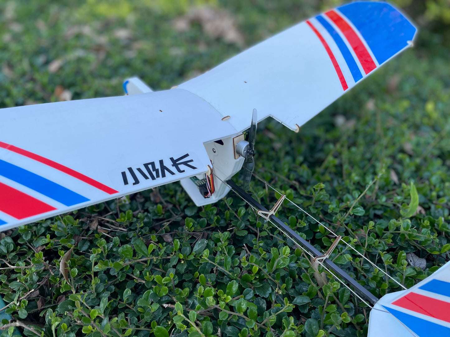 Hunter Lico Airplane ARF/ PNP